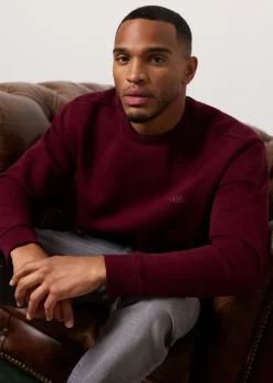 The Sting Crewneck sweater<Heren Sweaters En Hoodies