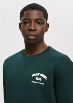 The Sting Sweater met logo<Heren Sweaters En Hoodies