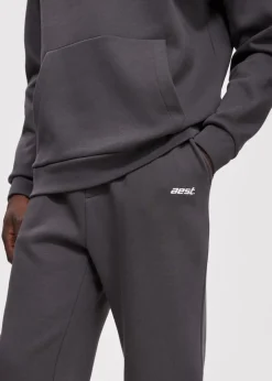 The Sting Sweatpants met merk print<Heren Broeken