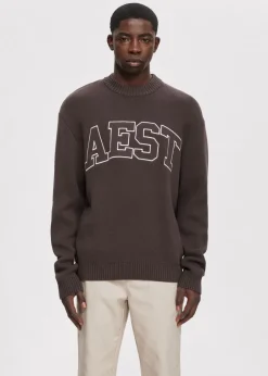 The Sting Trui met jacquarddetail<Heren Truien En Vesten